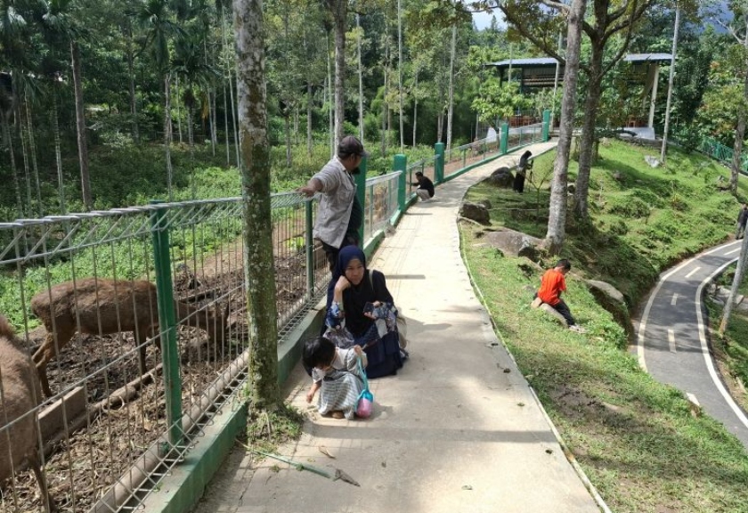 Taman  penangkaran rusa Taman Hutan Raya Wan Abdul Rachman Lampung