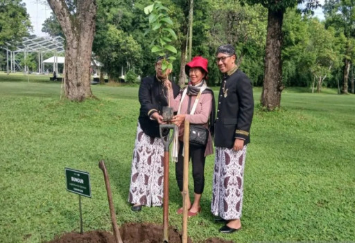 Penunjung pertama Candi Borobudur 