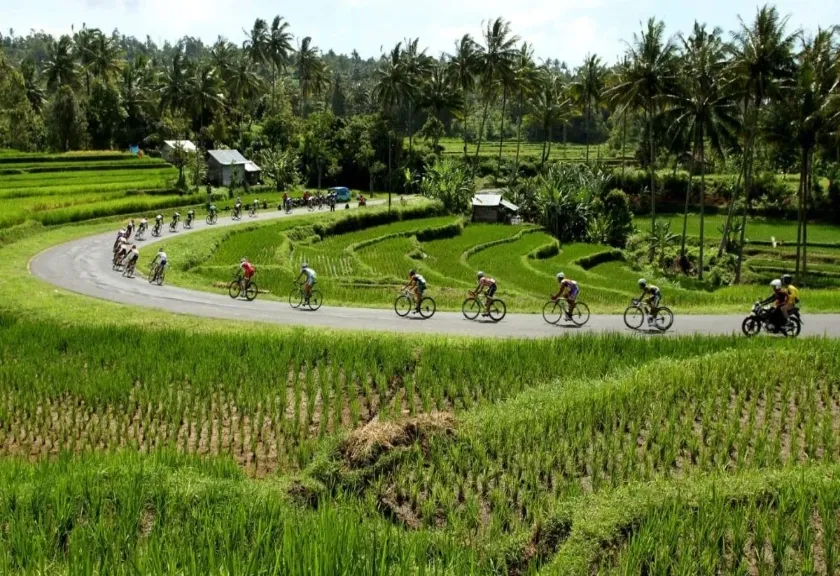 Arsip - Balap sepeda Tour de Singkarak