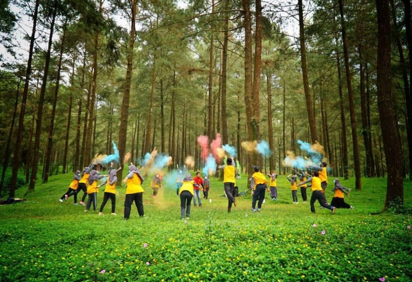 Hutan Pinus Limpakuwus