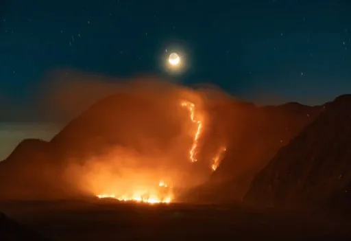 Kobaran api di kawasan Taman Nasional Bromo Tengger Semeru