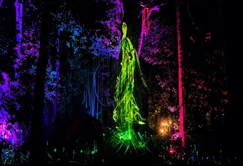Dream Forest Langkawi