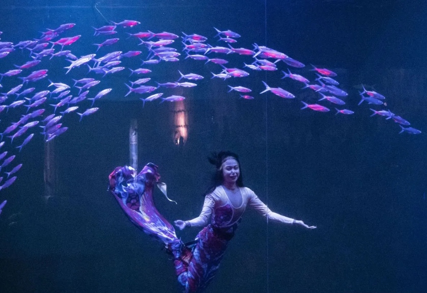 Ocean Dream Samudra, Ancol, Jakarta