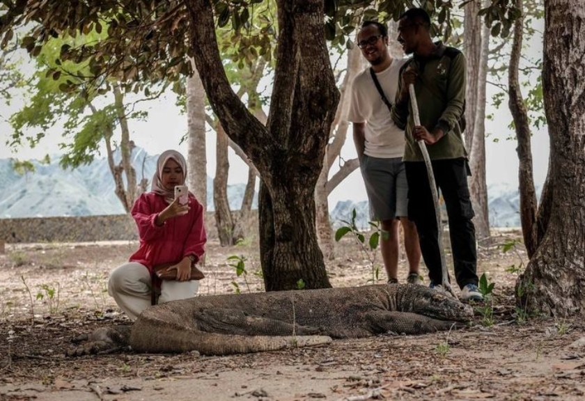 Pulau Komodo, Nusa Tenggara Timur 